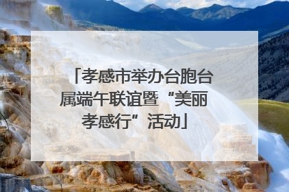 孝感市举办台胞台属端午联谊暨“美丽孝感行”活动