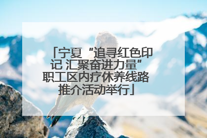 宁夏“追寻红色印记 汇聚奋进力量”职工区内疗休养线路推介活动举行