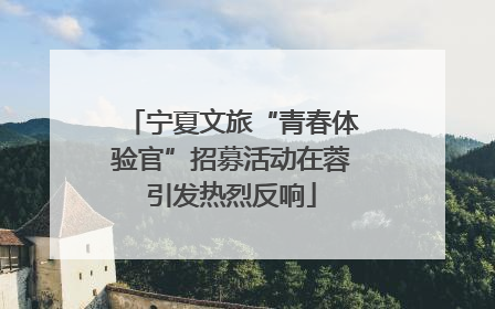 宁夏文旅“青春体验官”招募活动在蓉引发热烈反响
