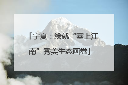 宁夏：绘就“塞上江南”秀美生态画卷