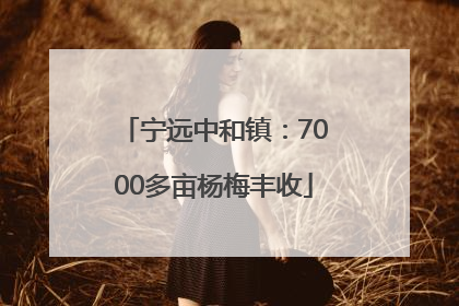 宁远中和镇：7000多亩杨梅丰收