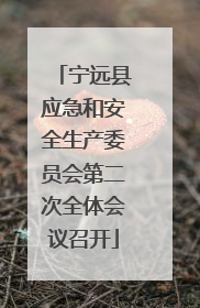 宁远县应急和安全生产委员会第二次全体会议召开