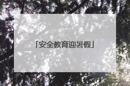 安全教育迎暑假