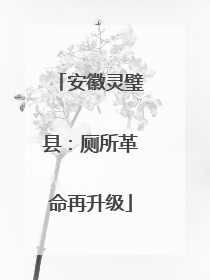 安徽灵璧县：厕所革命再升级