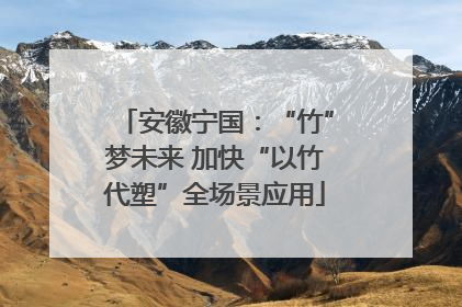 安徽宁国：“竹”梦未来 加快“以竹代塑”全场景应用