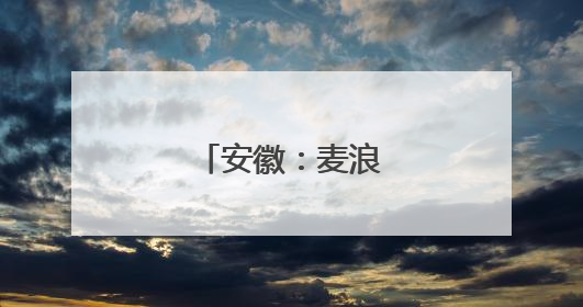 安徽：麦浪飘香收获忙