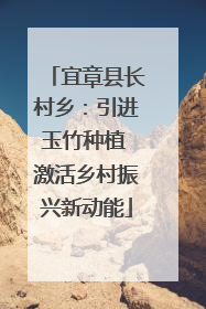 宜章县长村乡：引进玉竹种植 激活乡村振兴新动能