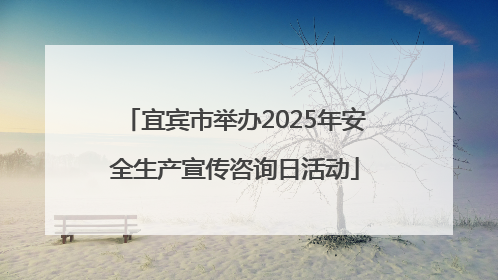 宜宾市举办2025年安全生产宣传咨询日活动