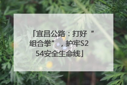 宜昌公路：打好“组合拳”，护牢S254安全生命线