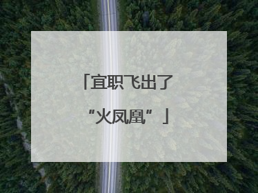 宜职飞出了“火凤凰”