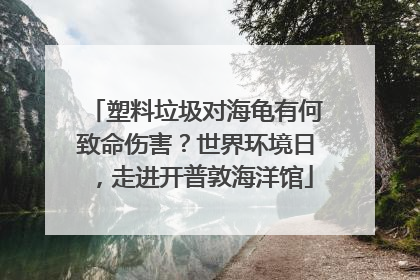 塑料垃圾对海龟有何致命伤害？世界环境日，走进开普敦海洋馆