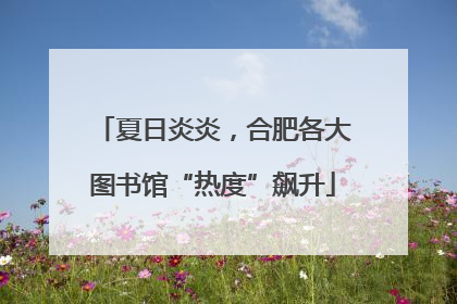 夏日炎炎，合肥各大图书馆“热度”飙升