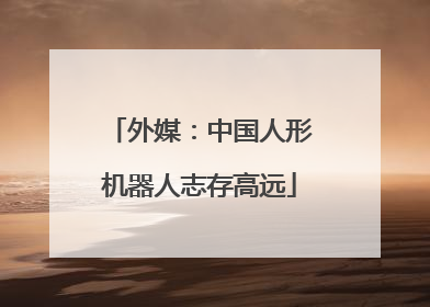 外媒：中国人形机器人志存高远