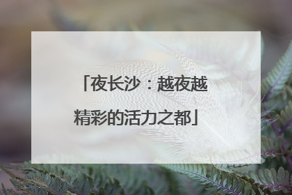 夜长沙：越夜越精彩的活力之都