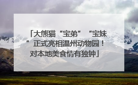 大熊猫“宝弟”“宝妹”正式亮相温州动物园！对本地美食情有独钟