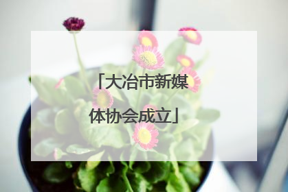 大冶市新媒体协会成立