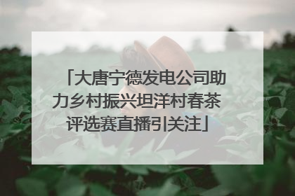 大唐宁德发电公司助力乡村振兴坦洋村春茶评选赛直播引关注