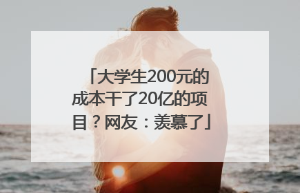 大学生200元的成本干了20亿的项目？网友：羡慕了