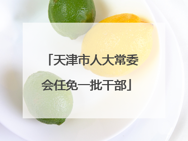 天津市人大常委会任免一批干部
