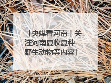 央媒看河南｜关注河南夏收夏种 野生动物等内容