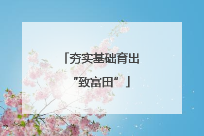 夯实基础育出“致富田”