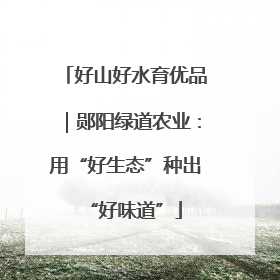 好山好水育优品｜郧阳绿道农业：用“好生态”种出“好味道”