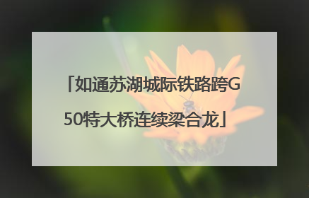 如通苏湖城际铁路跨G50特大桥连续梁合龙