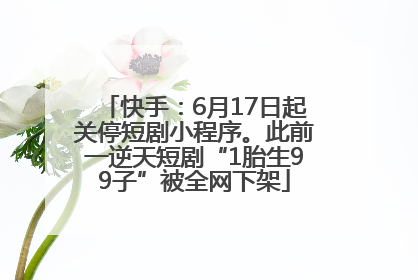 快手：6月17日起关停短剧小程序。此前一逆天短剧“1胎生99子”被全网下架