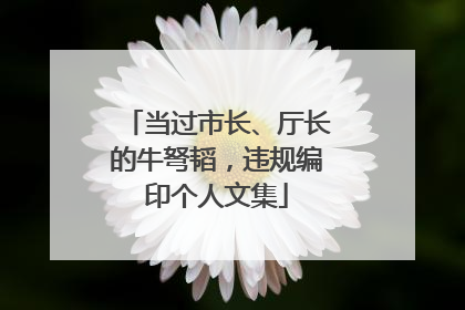 当过市长、厅长的牛弩韬，违规编印个人文集