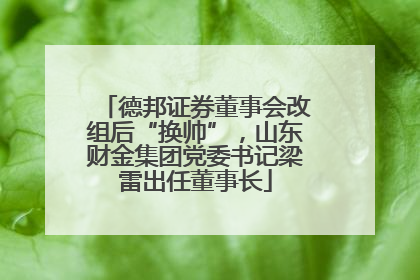 德邦证券董事会改组后“换帅”，山东财金集团党委书记梁雷出任董事长