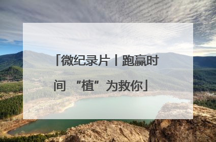 微纪录片丨跑赢时间 “植”为救你