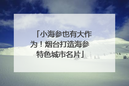 小海参也有大作为！烟台打造海参特色城市名片