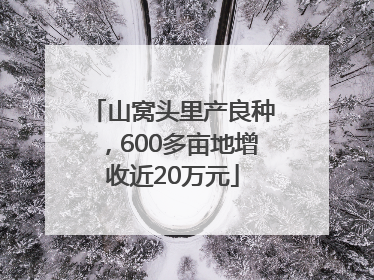 山窝头里产良种，600多亩地增收近20万元