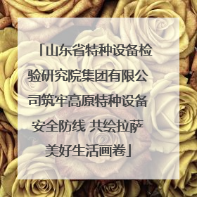山东省特种设备检验研究院集团有限公司筑牢高原特种设备安全防线 共绘拉萨美好生活画卷
