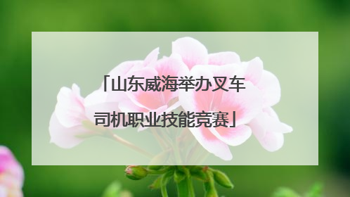 山东威海举办叉车司机职业技能竞赛