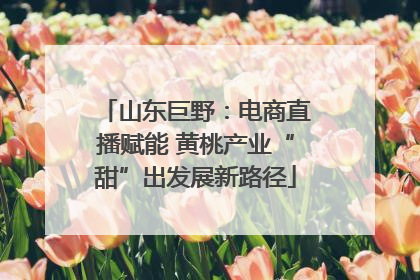 山东巨野：电商直播赋能 黄桃产业“甜”出发展新路径