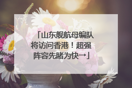 山东舰航母编队将访问香港！超强阵容先睹为快→