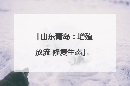 山东青岛：增殖放流 修复生态