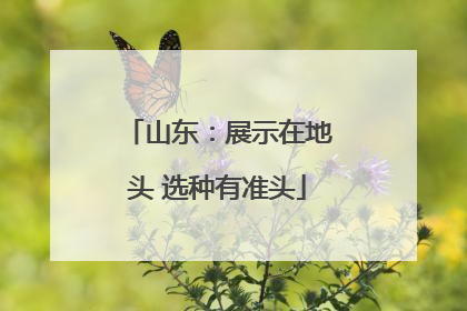 山东：展示在地头 选种有准头