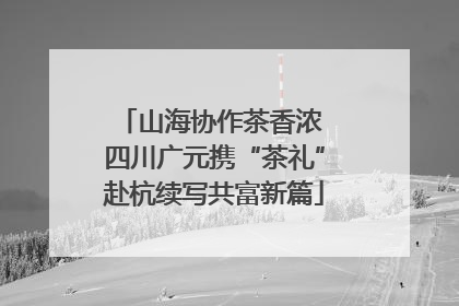 山海协作茶香浓 四川广元携“茶礼”赴杭续写共富新篇