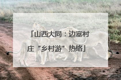 山西大同：边塞村庄“乡村游”热络