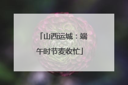 山西运城:端午时节麦收忙
