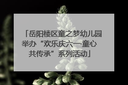 岳阳楼区童之梦幼儿园举办“欢乐庆六一·童心共传承”系列活动