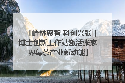 峰林聚智 科创兴张｜博士创新工作站激活张家界莓茶产业新动能