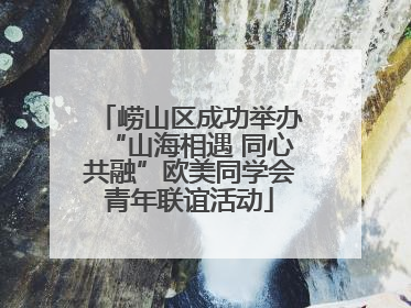 崂山区成功举办“山海相遇 同心共融”欧美同学会青年联谊活动