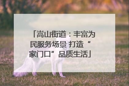 嵩山街道：丰富为民服务场景 打造“家门口”品质生活