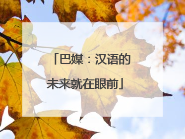 巴媒：汉语的未来就在眼前