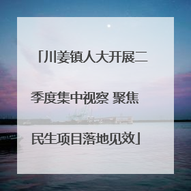 川姜镇人大开展二季度集中视察 聚焦民生项目落地见效