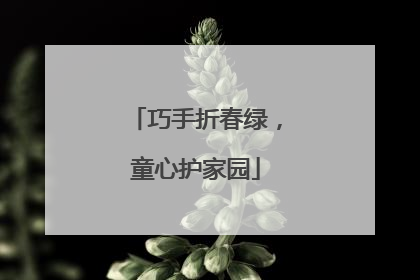 巧手折春绿，童心护家园