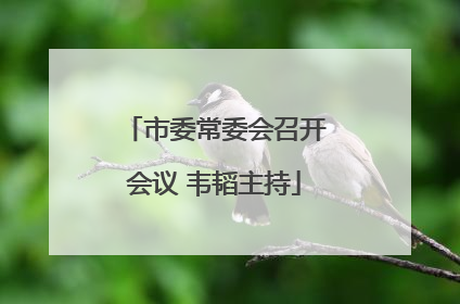 市委常委会召开会议 韦韬主持